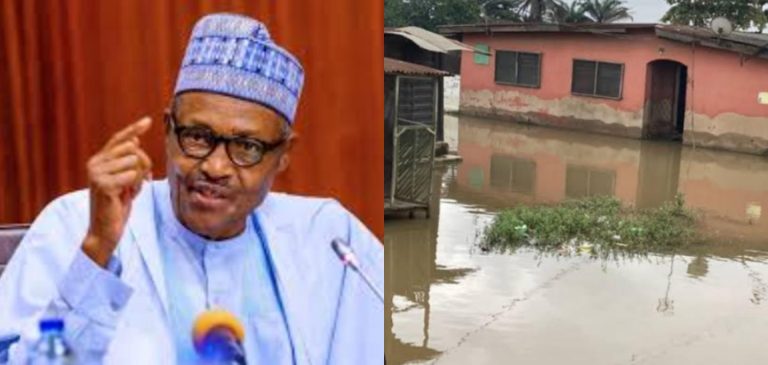 President Buhari gives Water Minister 90 days to produce flood prevention plan