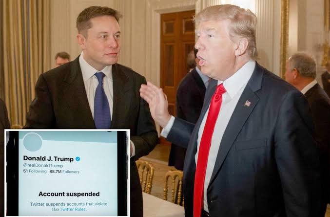 Elon Musk to reverse life bans and welcome back Donald Trump after taking over as Twitter CEO