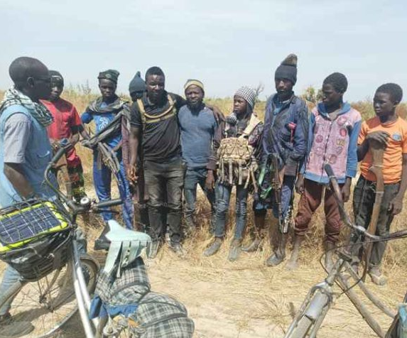 At least 49 terrorists surrender to troops in Borno
