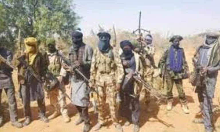 Boko Haram members k!ll their top leader and others over attempt to form faction