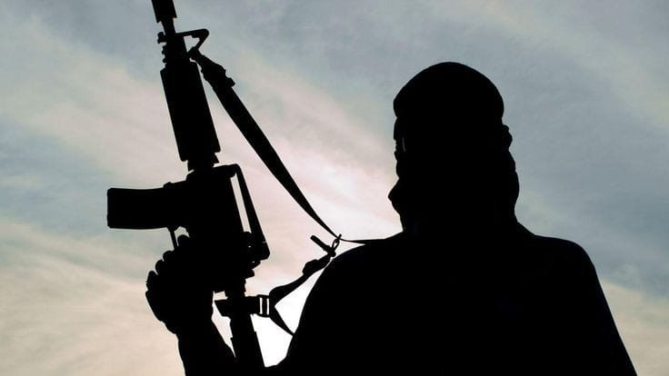 Gunmen abduct two wives and son of Taraba monarch