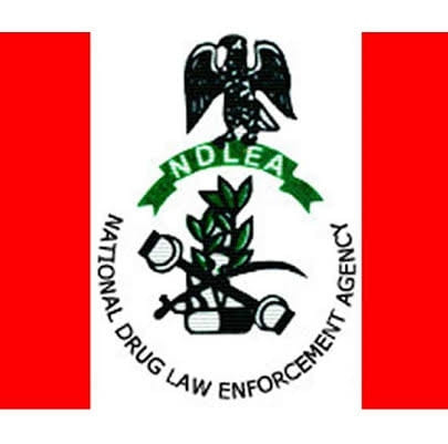 NDLEA arrests 25 drug suspects in Abuja IDP camp, others