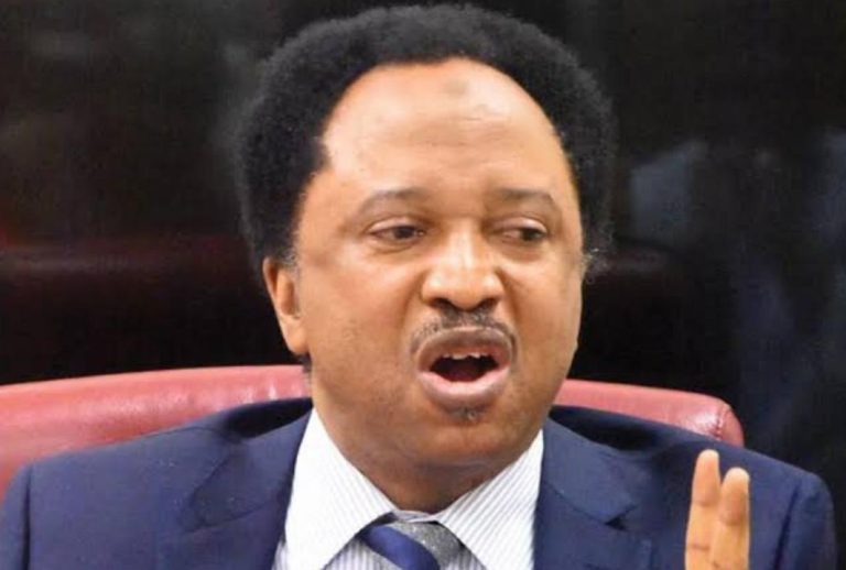 Shehu Sani reacts as some APC governors, Ganduje, El-Rufai attack Buhari over Tinubu