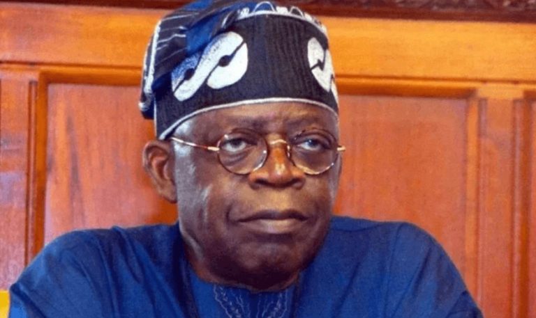 It’s my fault – Tinubu takes full responsibility for economic hardship, says Nigerians won’t suffer for nothing