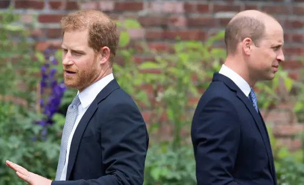 Prince Harry claims he was born to offer spare organs to heir William