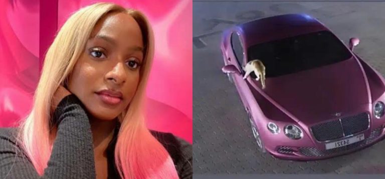 ‘This cat is an enemy of progress, every single night’ – DJ Cuppy calls out cat tormenting her