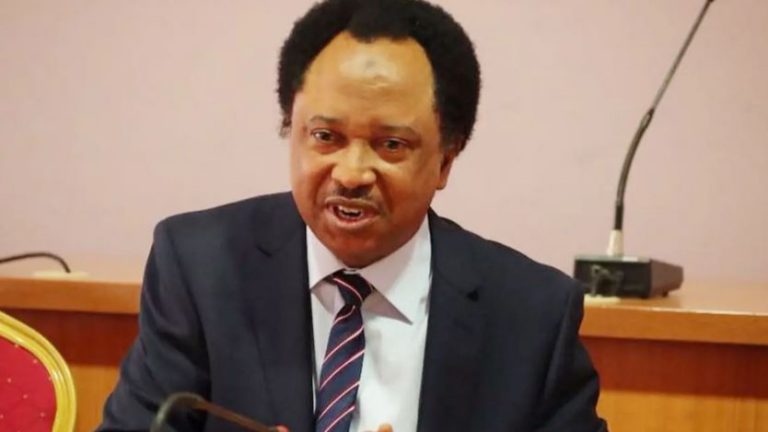 ‘Everyone in doubt’ – Senator Sheu Sani reacts after APC joined PDP and LP to inspect INEC materials