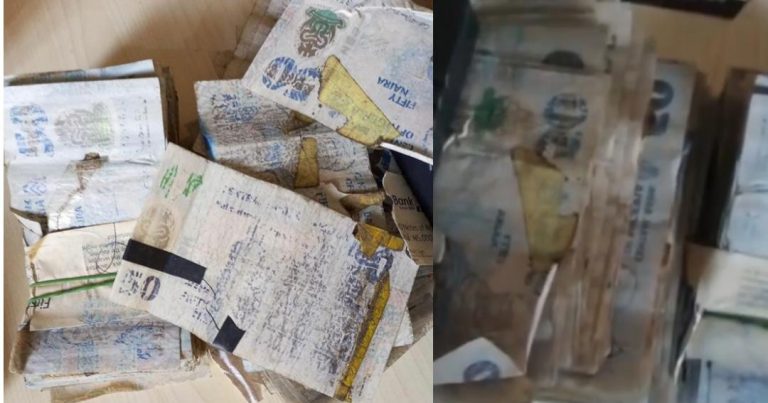 Nigerian lady cries out as she displays torn bundle of money she was given at Bank (Video)