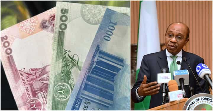CBN: 5 things you do to new naira notes that can land you in jail as Supreme court gives fresh verdict
