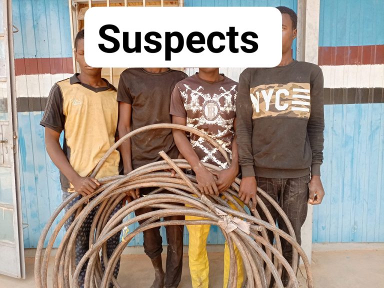 NSCDC arrests four notorious electric cable vandals in Jigawa