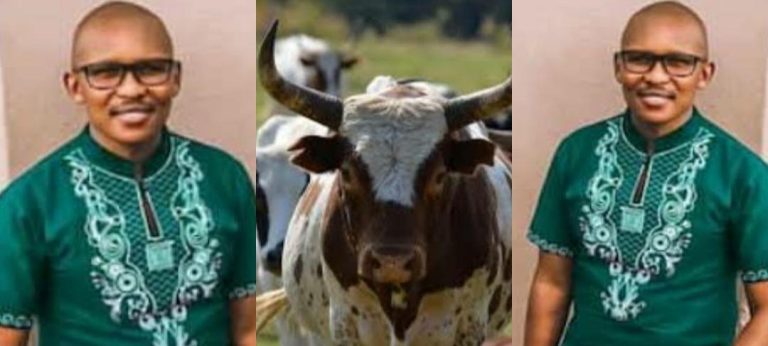 Man who spent over N2m to buy cows for wife’s bride price divorces her after 3 years