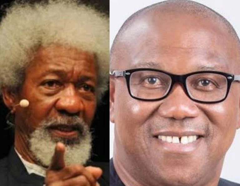 Labour party leadership knows Peter Obi lost 2023 polls but they want to force lies on Nigerians – Wole Soyinka