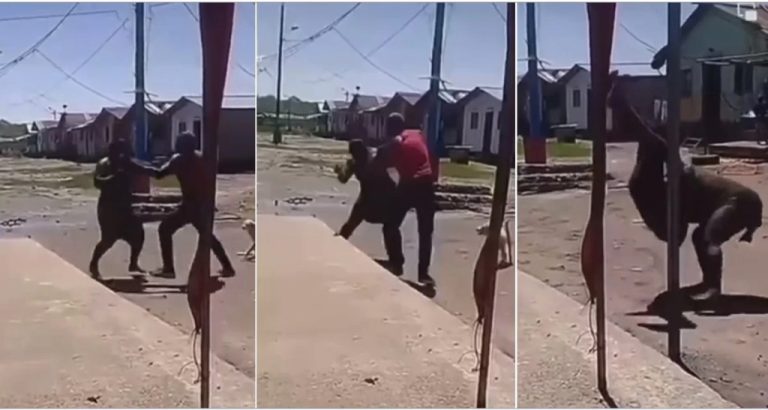 “That woman is a trained wrestler, they fought man to man” – Reactions as woman overpowers muscular man in a fight, slams him on the ground (Watch video)