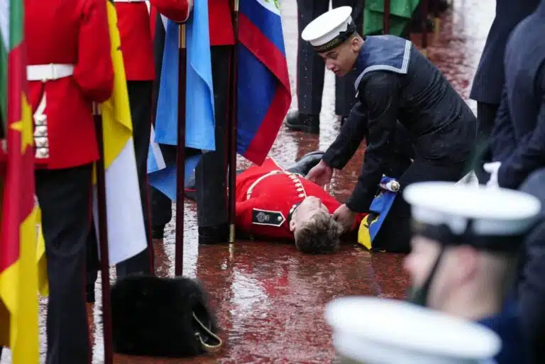 Flag bearer slumps during coronation of King Charles