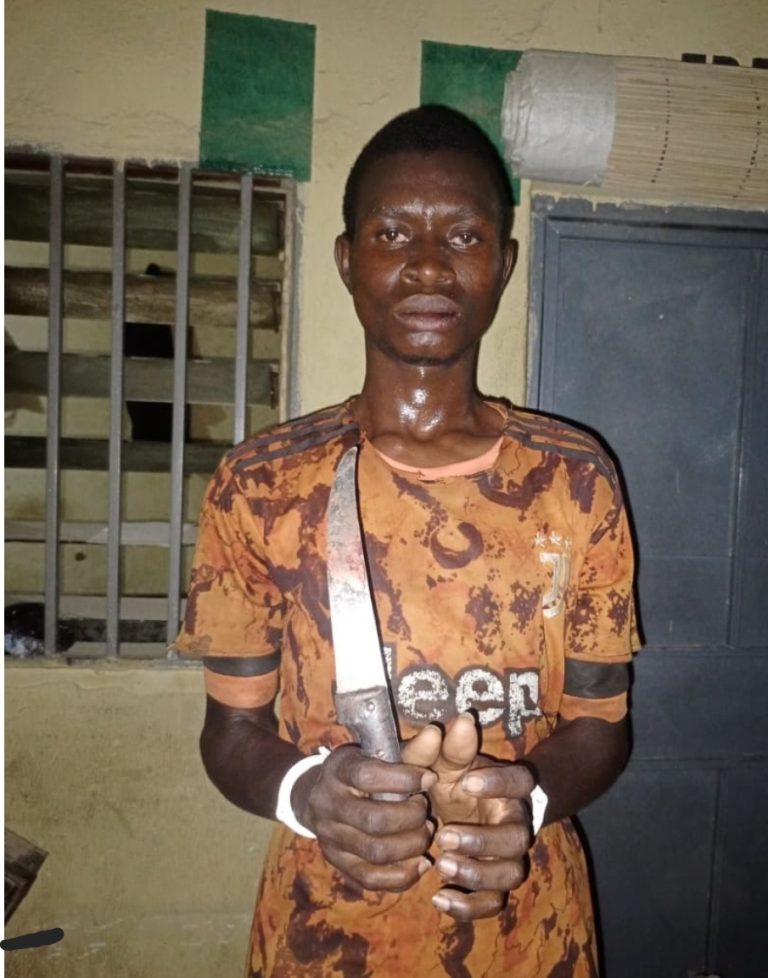 Update: Police arrest 22-year-old man who stabbed his mother to death in Kano