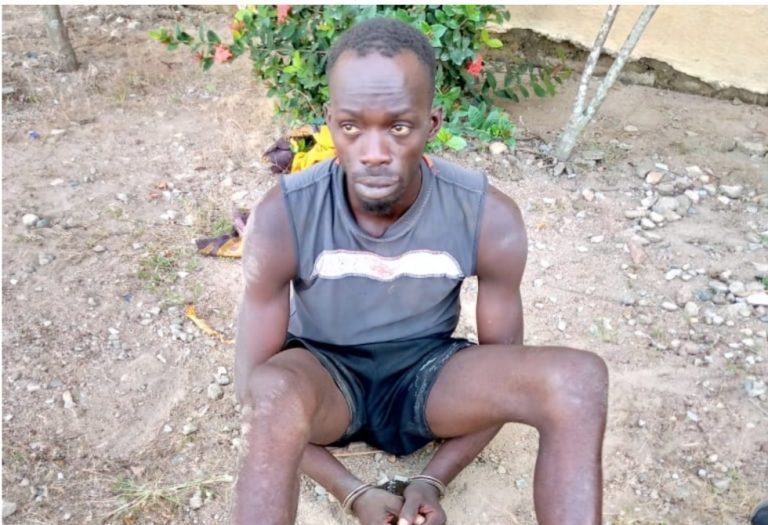 I have participated in the murder of 20 innocent people in Osun – Deadly killer cultist confesses