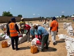 13,000 Nigerians benefited from flood relief interventions — FG