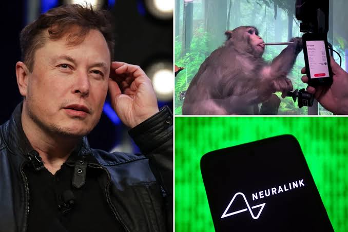 Elon Musk’s Neuralink receives US government approval to carry out studies of brain implants in humans