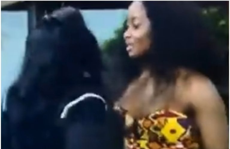 Ilebaye clashes with female housemates as she pulls Ceec’s wig and pushes Doyin after their Saturday night party (videos)