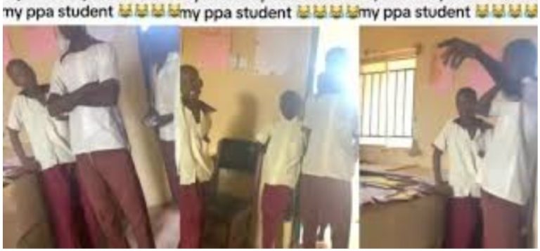 “I am finished” – Corper exclaims as his PPA students don’t understand English language (Video)