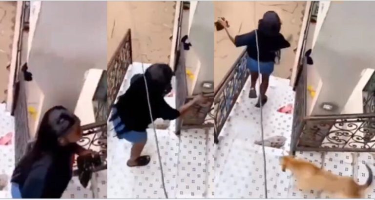 Dog chases away its owner’s ex-girlfriend as she shows up uninvited (Watch video)