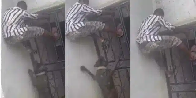 “He was told it won’t bite you” – Man runs, climbs iron bars to escape dogs attack (Video)