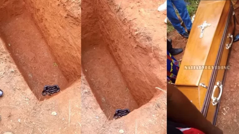 “It’s a very bad sign” – Video as two snakes erupted from the grave while trying to bury the dead (Watch)