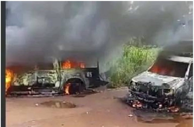 Panic as gunmen kill eight soldiers, policemen, set their bodies ablaze in Imo (graphic video)