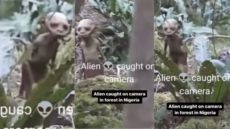 “This is scary” – Video trends as Alien caught on camera at a thick forest in Nigeria (Watch)