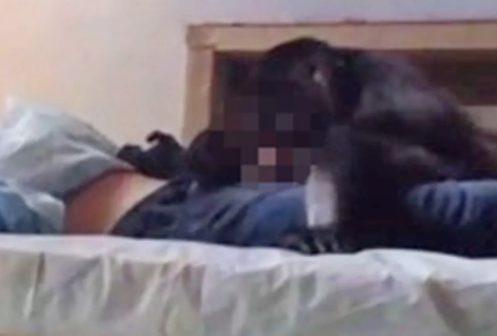 Monkey sneaks into room and performs sex act on drunk man while he was passed out in bed
