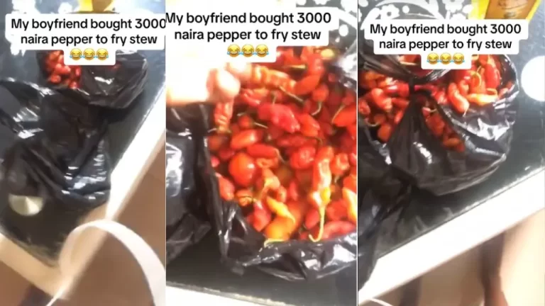 “Don’t send a man to market” – Lady cries out as her boyfriend buys N3k pepper to make stew (Video)