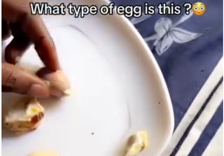 “Is this normal?” – Man asks after finding another egg with its shell inside his hard boiled egg (video)