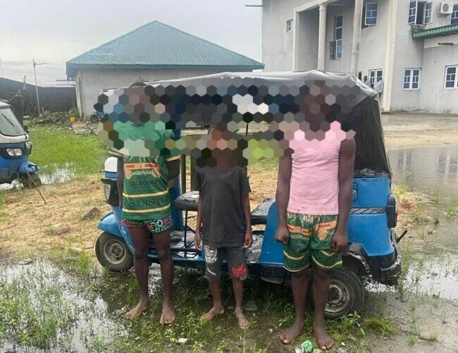 I have participated in the killing of six people – 14-year-old suspected armed robber who joined gang at age 7 confesses in Delta