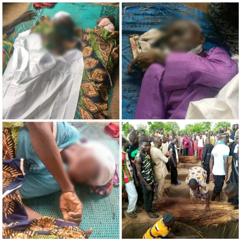 Mentally-Ill man kills 9 villagers in Adamawa