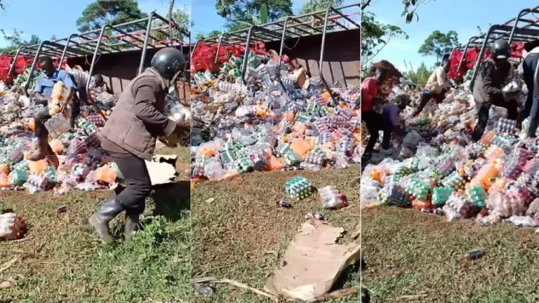 “Early Christmas” – Moment residents rush as truck fully loaded with soft drinks fall (Video)