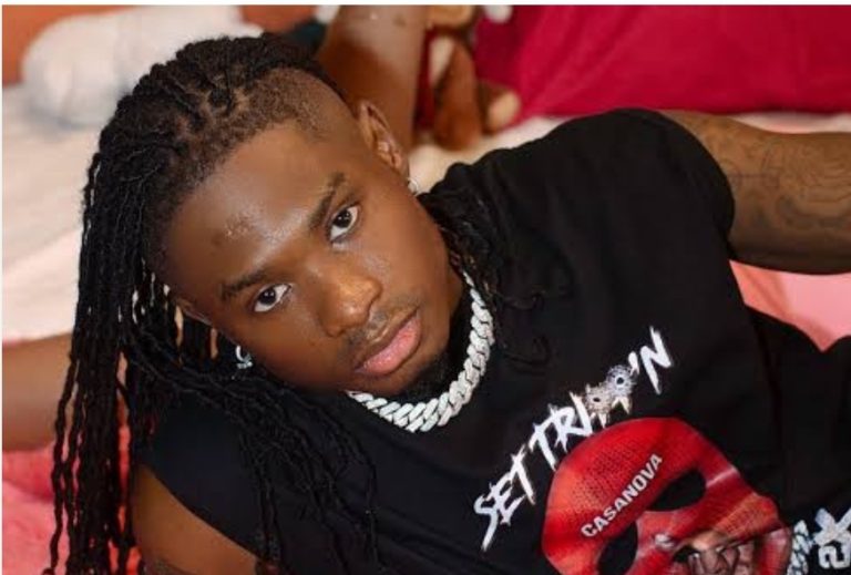 “My mother and her dog slept off for 24 hours after eating cake from my fridge” – Lil Kesh