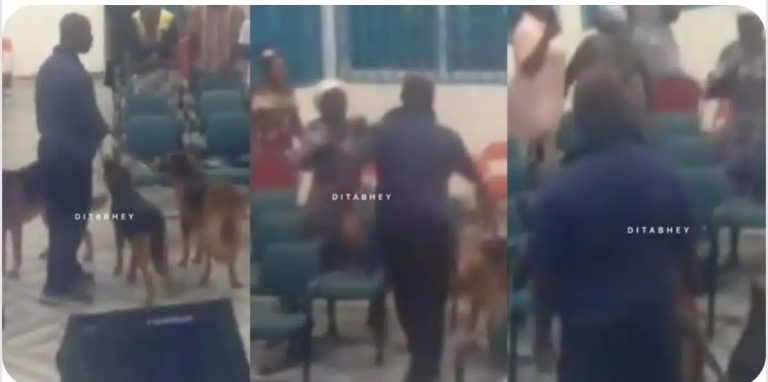Man storms church with dogs to warn them to stop disturbing neighbourhood at night (Video)