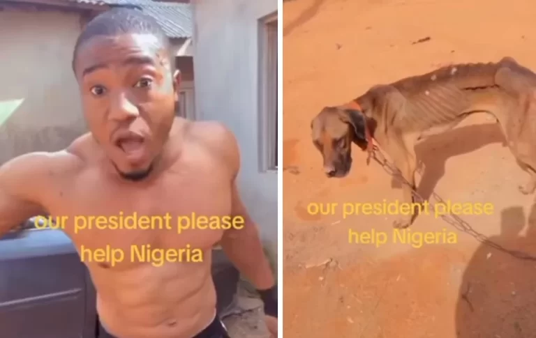 Our dogs can’t see food to eat anymore – Nigerian man cries out to Tinubu (Video)