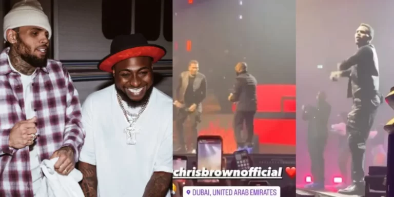 Exciting moment Chris Brown brings out Davido during his sold out concert in Dubai, perform Sensational and Unavailable (Video)