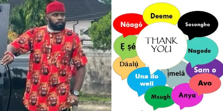 “I find it really weird that adults, born and raised in Nigeria cannot speak their language” — Nigerian man rants