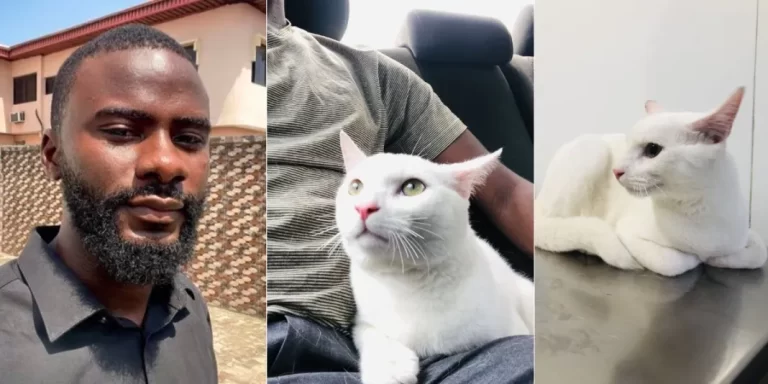 “He is not a witch, I pray for him daily” – Nigerian man says as he set to dash out his 8 month old pet cat (Photos/Video)