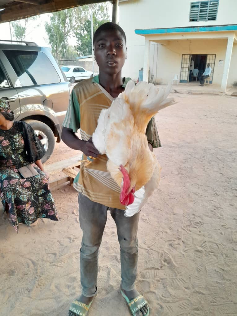 Man arrested for having sex with a cock in Adamawa