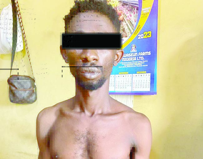 I smoked marijuana before st@bbing my friend to death for demanding N7000 I borrowed from him – Murder suspect arrested in Ogun says