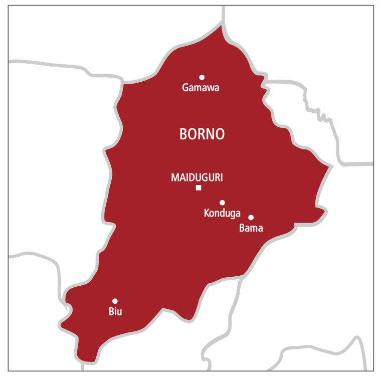 Eight passengers reportedly killed as two commercial vehicles hit landmine in Borno