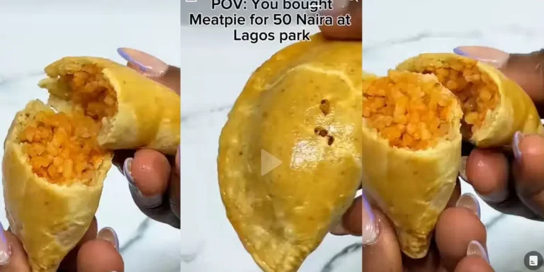 Nigerian lady expresses shock as she finds ‘Jollof rice’ inside ₦50 meat pie purchased in Lagos park