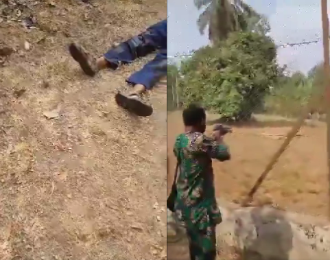 Graphic video shows moment lion was killed after it mauled an OAU staff