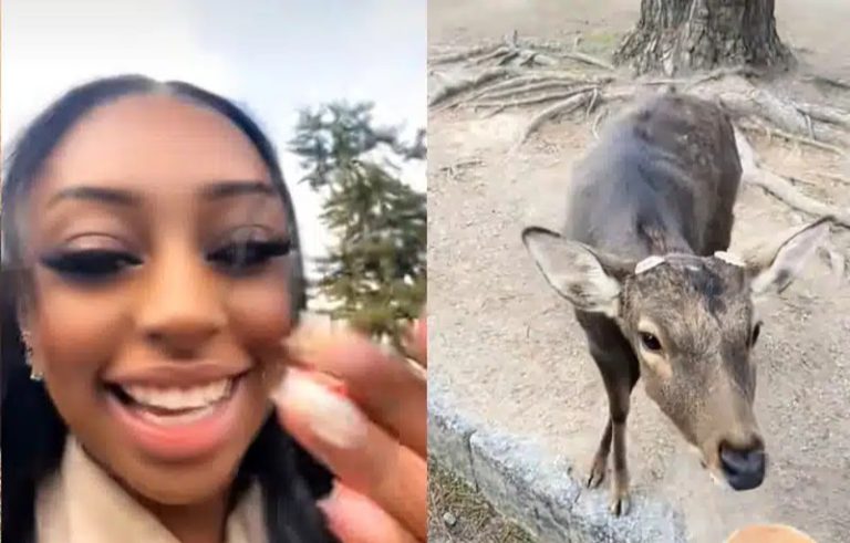 “Everyone in Japan is polite, even the animals” – Nigerian lady says as deer in Japan greets her by bowing (Video)