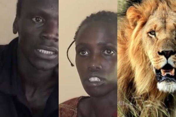 Young couple land in hospital after being attacked by a lion