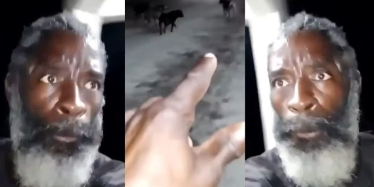 “What HOLY GHOST cannot do doesn’t exist” – Video of a man fervently praying in tongues to chase away multiple wild dogs trends online (Watch)