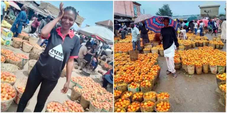 “In June 2024, I made my first million in Tomato business, the business that made alot of people look down on me” – Lady celebrates